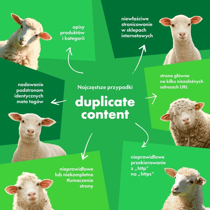 przykłady duplikacji treści